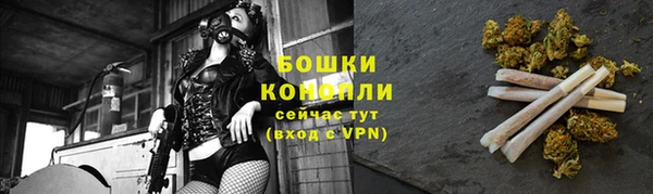 амф Козельск