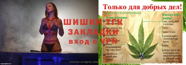 амф Козельск