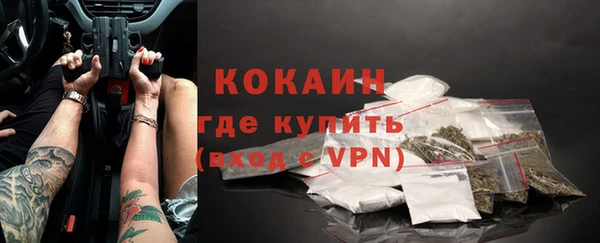 хмурый Козловка