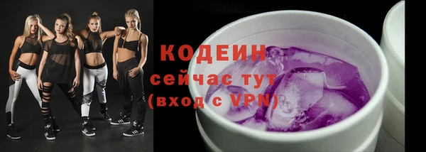 амф Козельск