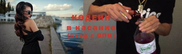 амф Козельск