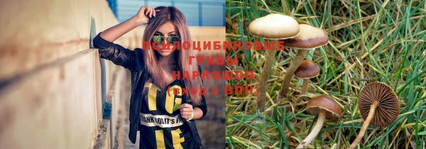 МДПВ Кодинск