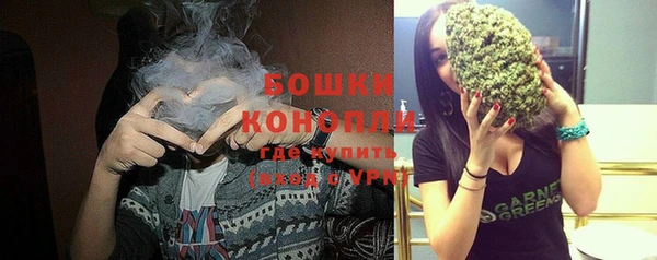 хмурый Козловка
