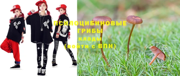 амф Козельск