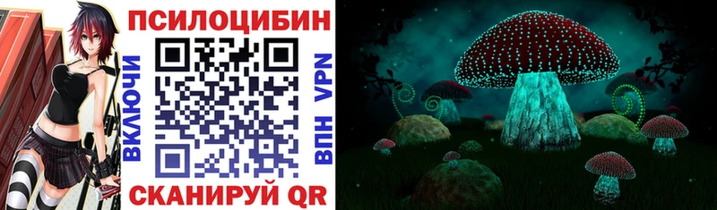 Псилоцибиновые грибы Cubensis  Купить где  Белорецк 