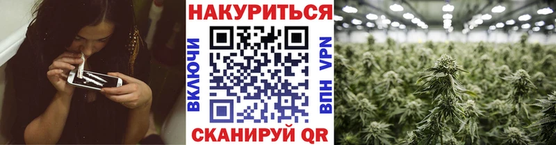 Шишки марихуана индика  Купить где  Белорецк 